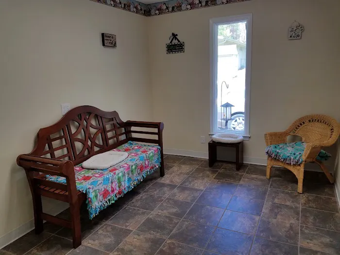 Cat Clinic of Johnson County Picture 3