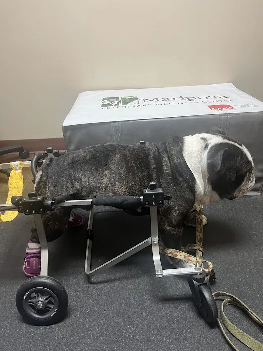 Mariposa Veterinary Wellness Center Picture 5