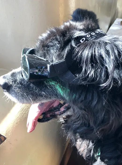 Mariposa Veterinary Wellness Center Picture 4