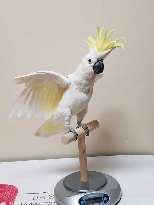 Mariposa Veterinary Wellness Center Picture 7