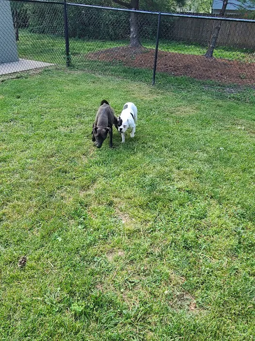 Mariposa Veterinary Wellness Center Picture 9