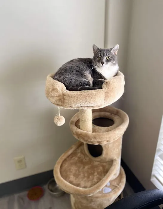 Unleashed Vet Clinic Picture 4