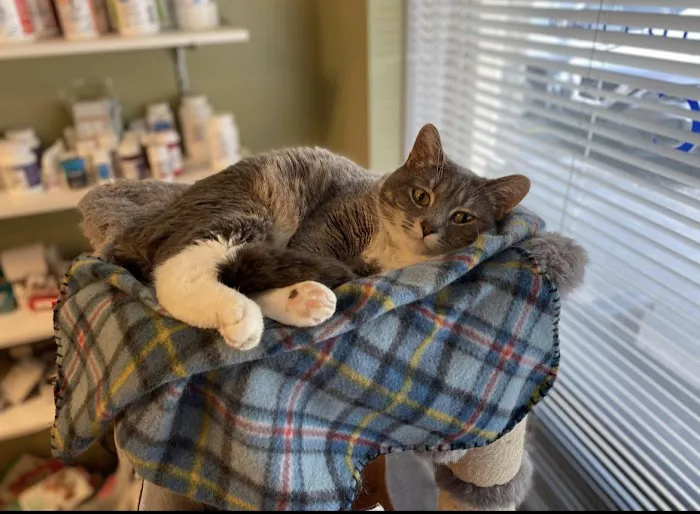 Unleashed Vet Clinic Picture 3