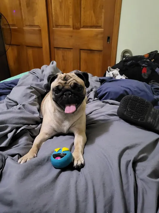 Indian Creek Veterinary Hospital Picture 1