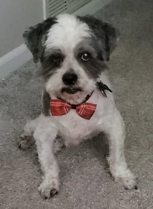 Indian Creek Veterinary Hospital Picture 4