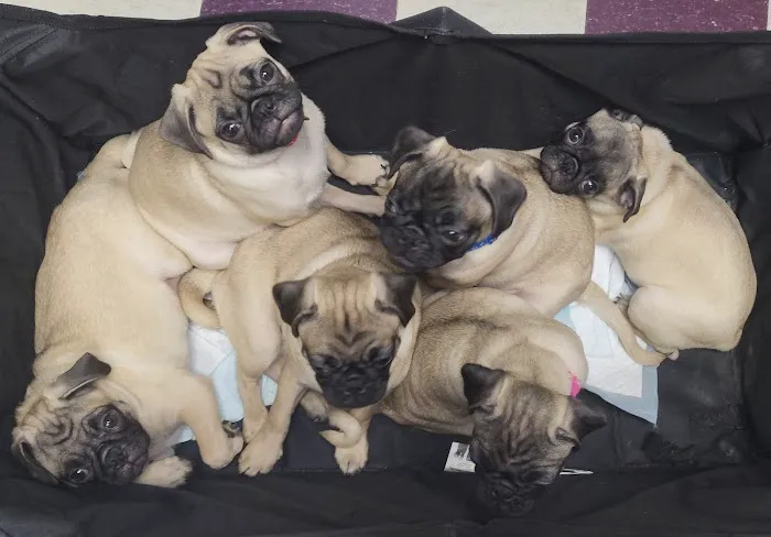 Indian Creek Veterinary Hospital Picture 2