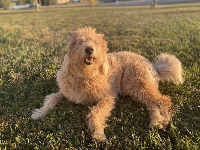 Indian Creek Veterinary Hospital Picture 7