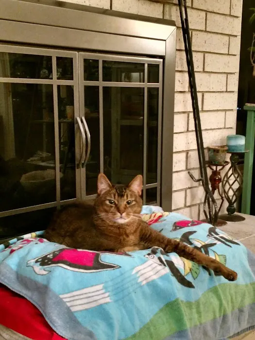 Indian Creek Veterinary Hospital Picture 6