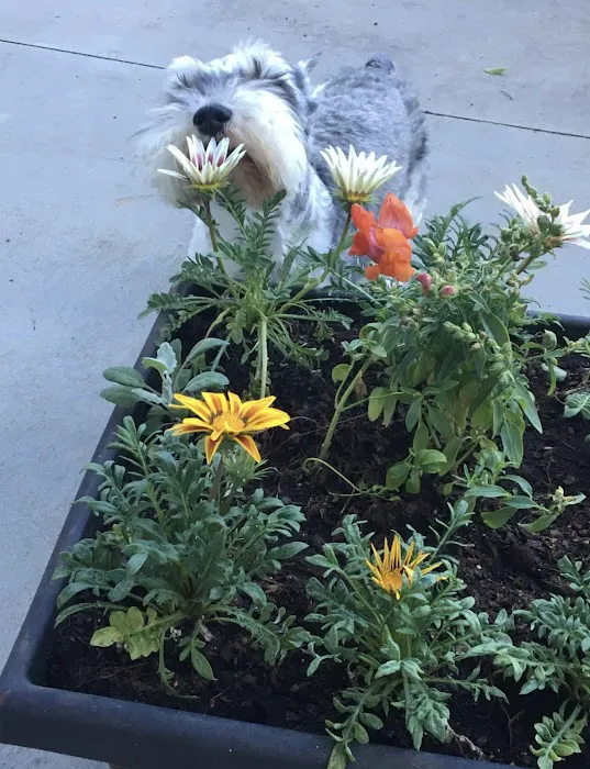 Indian Creek Veterinary Hospital Picture 5