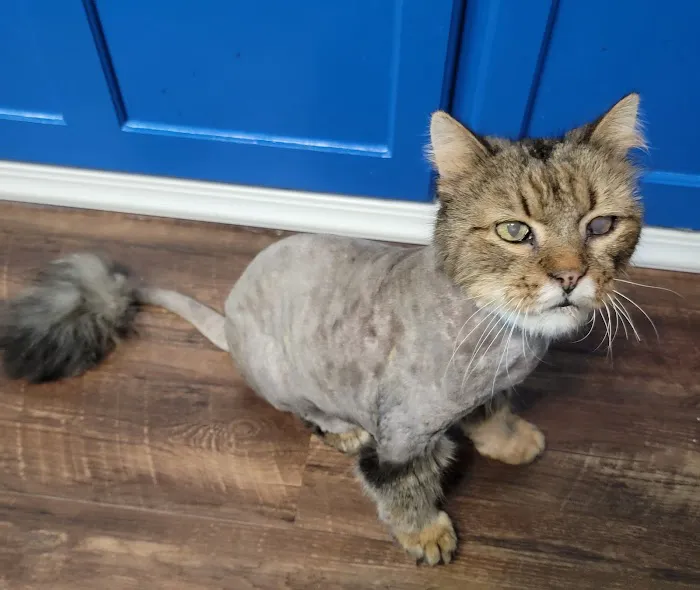 Indian Creek Veterinary Hospital Picture 8