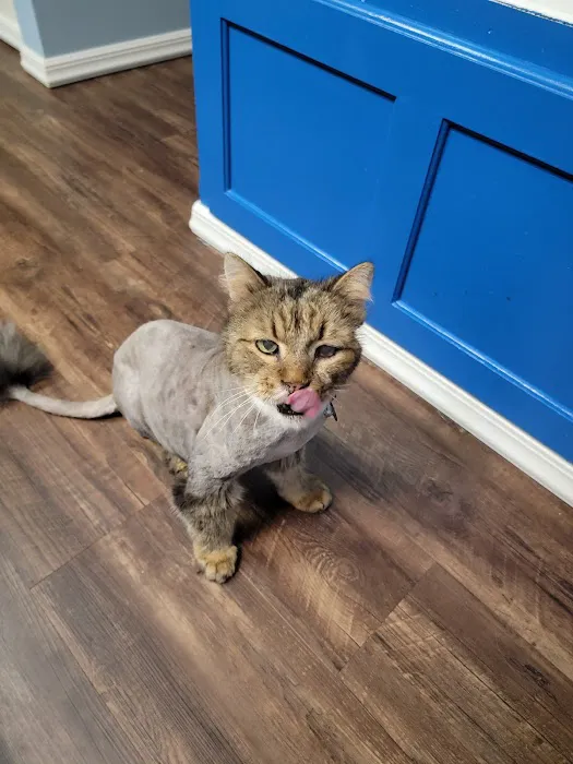 Indian Creek Veterinary Hospital Picture 9