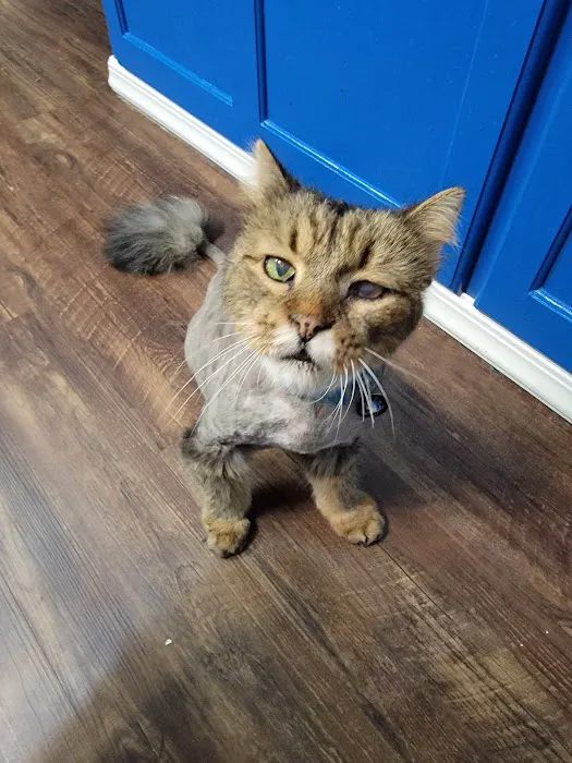 Indian Creek Veterinary Hospital Picture 10