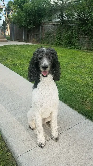 Animal Clinic of North Topeka Picture 2