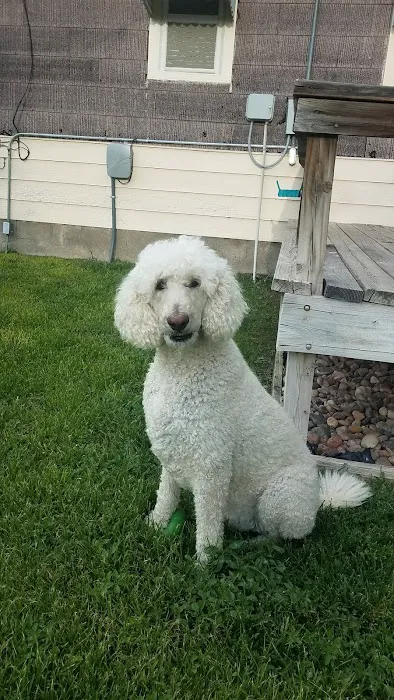 Animal Clinic of North Topeka Picture 3