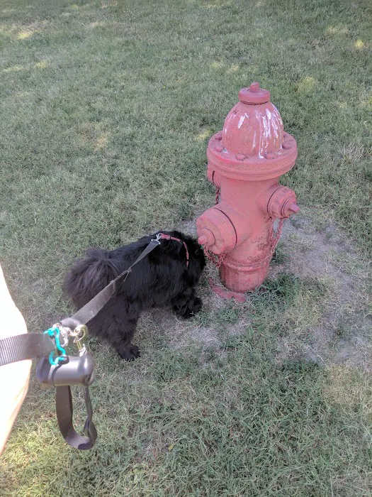 Rocking KM Potwin Picture 3