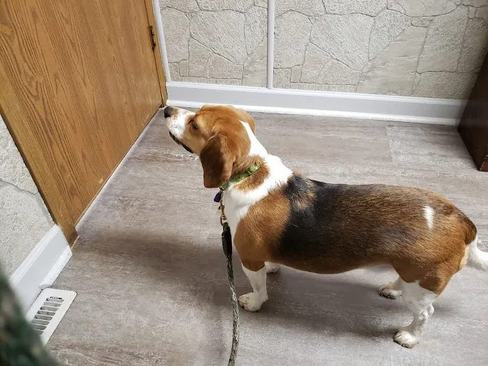 Rocking KM Potwin Picture 1