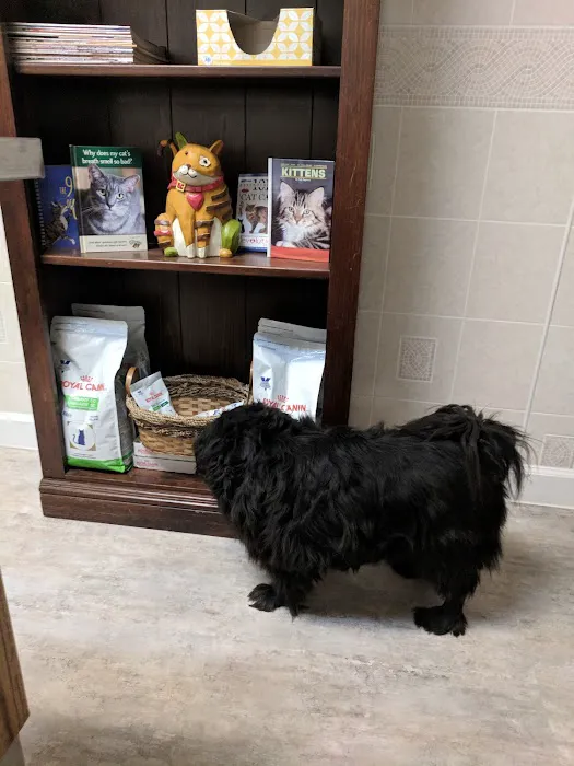 Rocking KM Potwin Picture 2