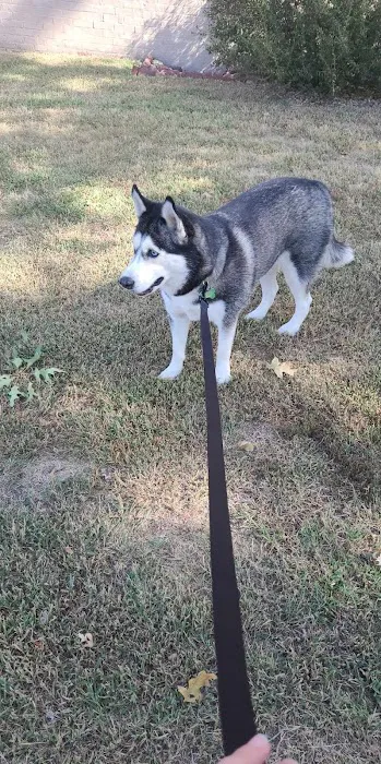 Rocking KM Potwin Picture 6