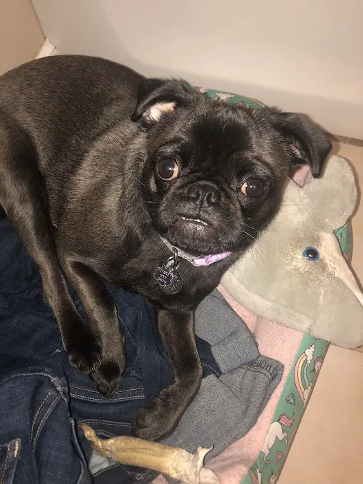 Rocking KM Potwin Picture 5