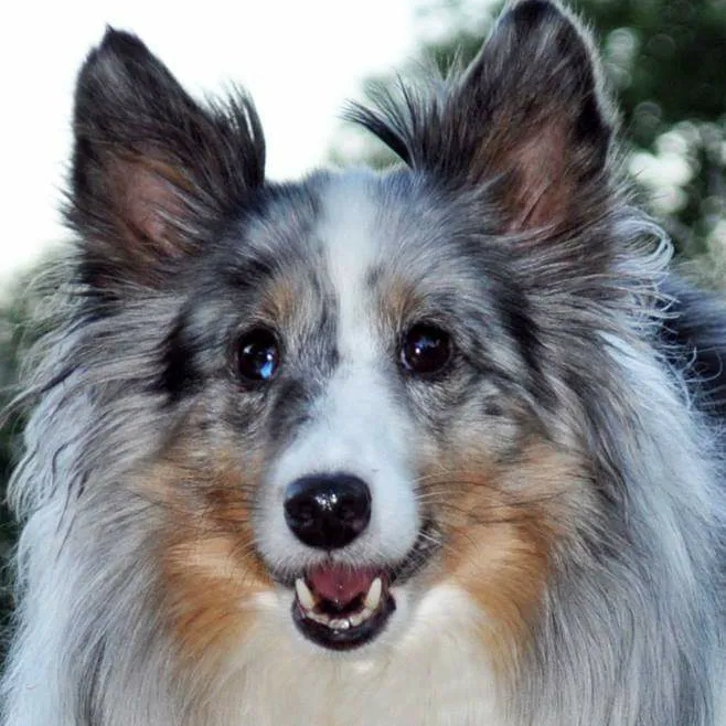 Rocking KM Potwin Picture 4