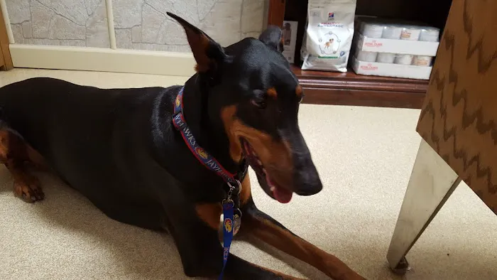 Rocking KM Potwin Picture 8