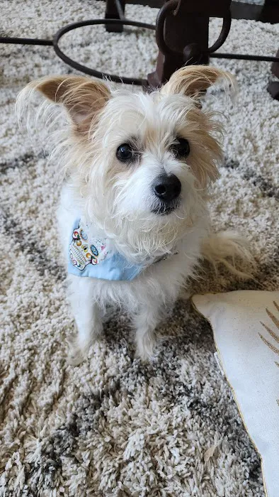 Rocking KM Potwin Picture 9