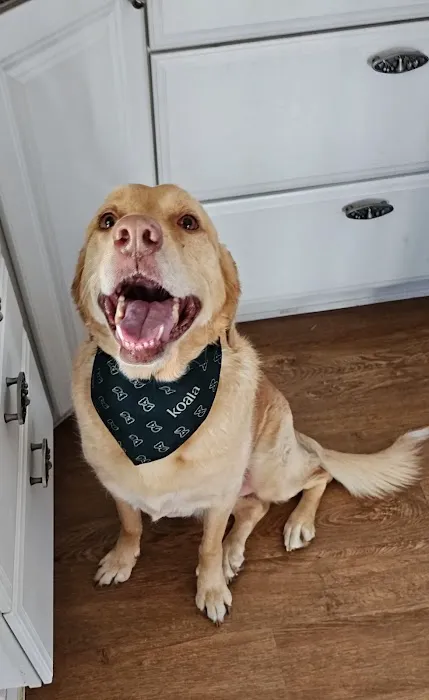 Mountain Veterinary Clinic LLC Picture 1