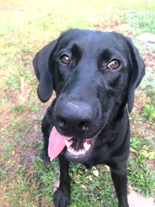 Mountain Veterinary Clinic LLC Picture 3