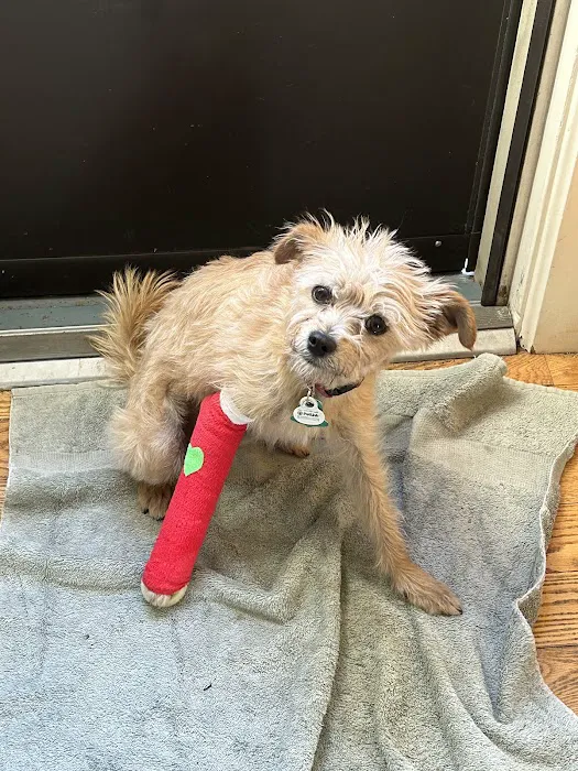 Mountain Veterinary Clinic LLC Picture 4