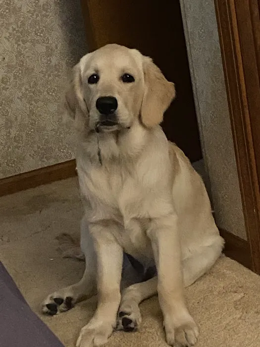 Mountain Veterinary Clinic LLC Picture 7