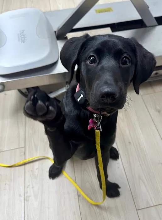 Mountain Veterinary Clinic LLC Picture 6