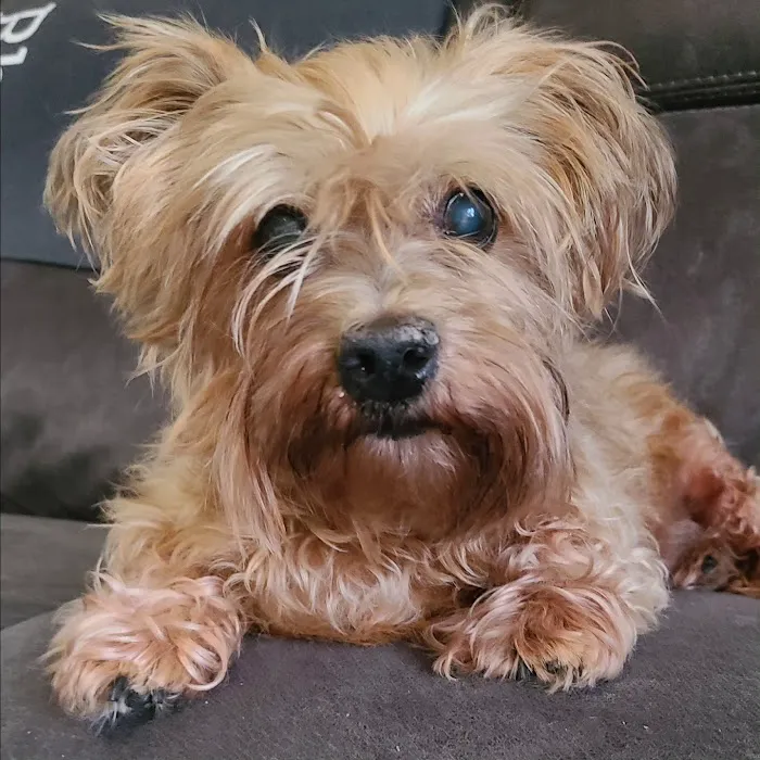 Mountain Veterinary Clinic LLC Picture 9