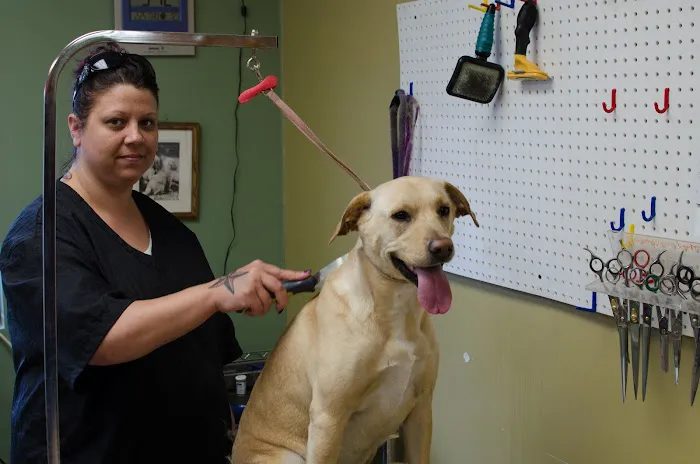 Animal Care Center of Topeka Picture 2