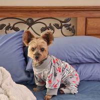 Animal Care Center of Topeka ico