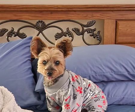 Animal Care Center of Topeka