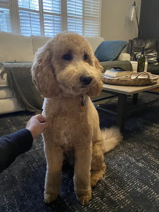 Western Hills Veterinary Clinic Picture 2