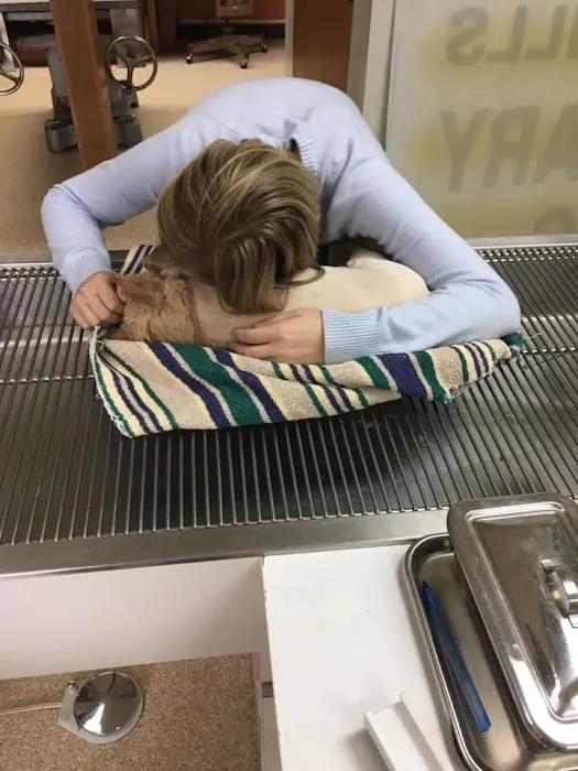 Western Hills Veterinary Clinic Picture 1