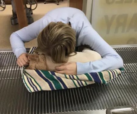 Western Hills Veterinary Clinic