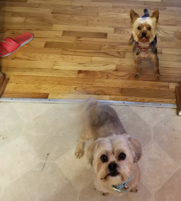 Western Hills Veterinary Clinic Picture 3