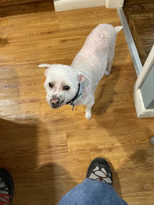 Family Pet Hospital Picture 2