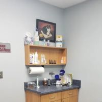 Family Pet Hospital ico