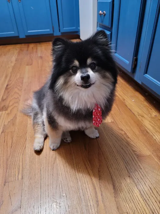 Family Pet Hospital Picture 4