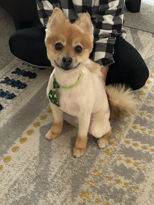 Family Pet Hospital Picture 3