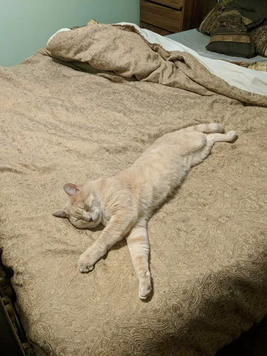 Family Pet Hospital Picture 9