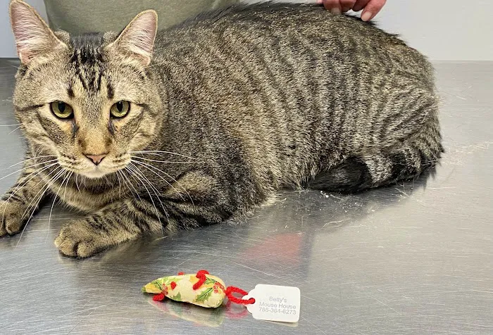 Family Pet Hospital Picture 7