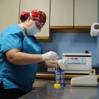 University Veterinary Care Center, P.A. ico