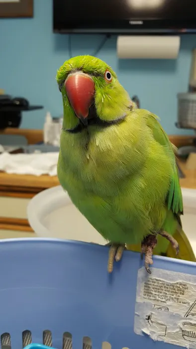 University Veterinary Care Center, P.A. Picture 4