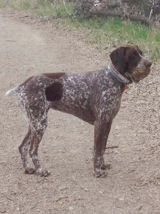 University Veterinary Care Center, P.A. Picture 7