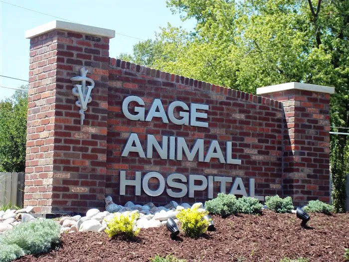 Gage Animal Hospital Picture 1