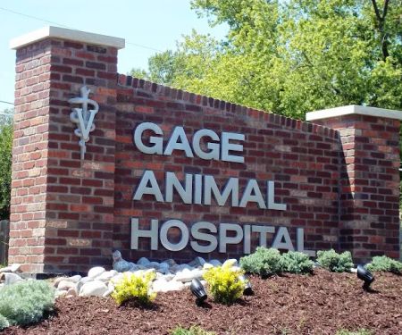 Gage Animal Hospital